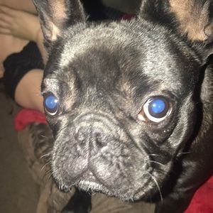 Meet your Posher, Jake